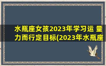 水瓶座女孩2023年学习运 量力而行定目标(2023年水瓶座女生学习规划：理性定目标，量力而行，获得成功！)